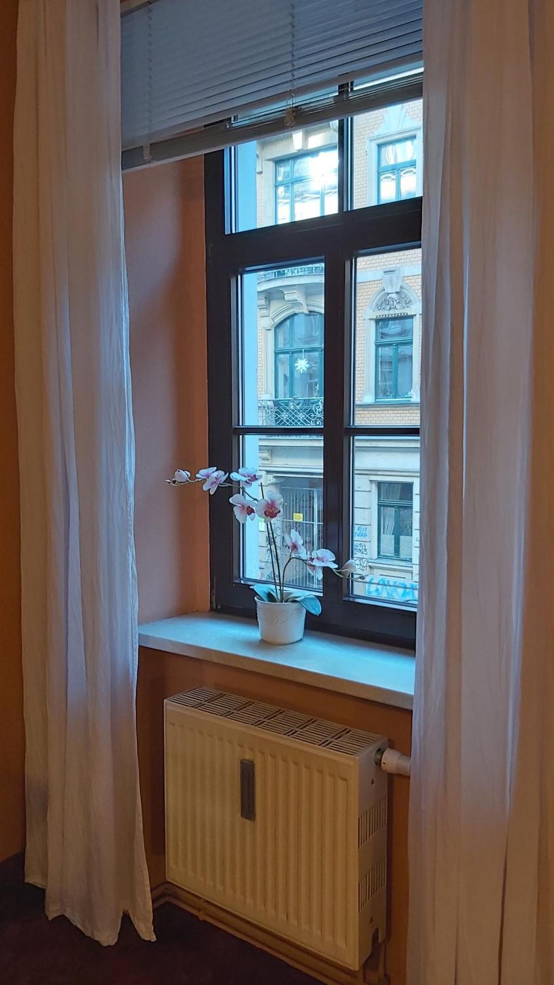 City-Ferienwohnungen-Dresden - Zentral Gelegen Im Haus Louisenstrasse 11 - Dresden-Neustadt Zewnętrze zdjęcie